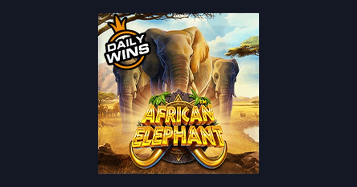 Mengenal Slot African Elephant dengan Info RTP Live Tertinggi dari Pragmatic Play
